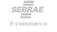 Sebrae Guide to Creating a Digital Store